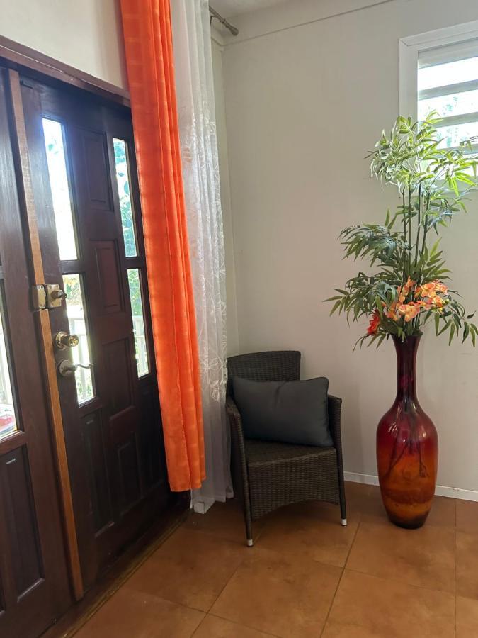 Villa Les Orchidees Et Villa Alpinia 珀蒂堡 外观 照片