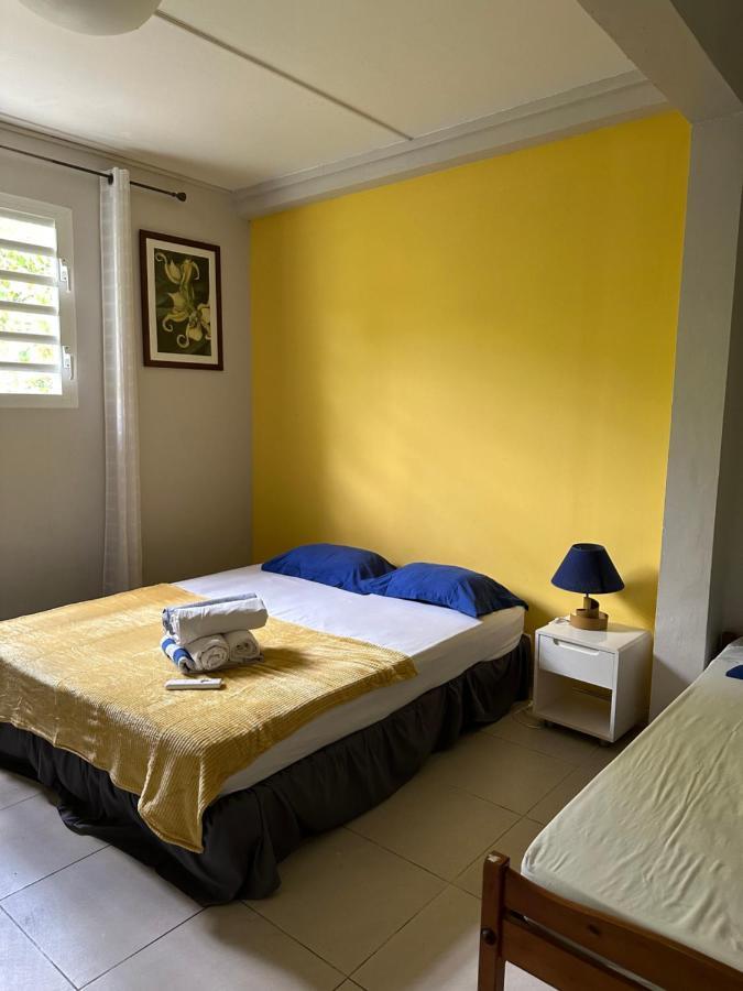 Villa Les Orchidees Et Villa Alpinia 珀蒂堡 外观 照片